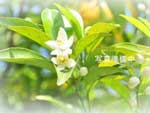 和歌山県立こころの医療センター